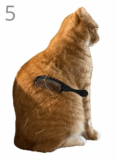 ��è��ë2026���°汾