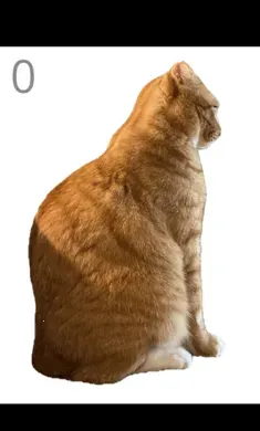 ��è��ë2026���°汾v1.0 �ٷ������ͼ