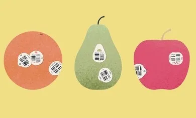 ����һ����Ϸ(����������Ϸ)v1.3 ��Ѱ��ͼ