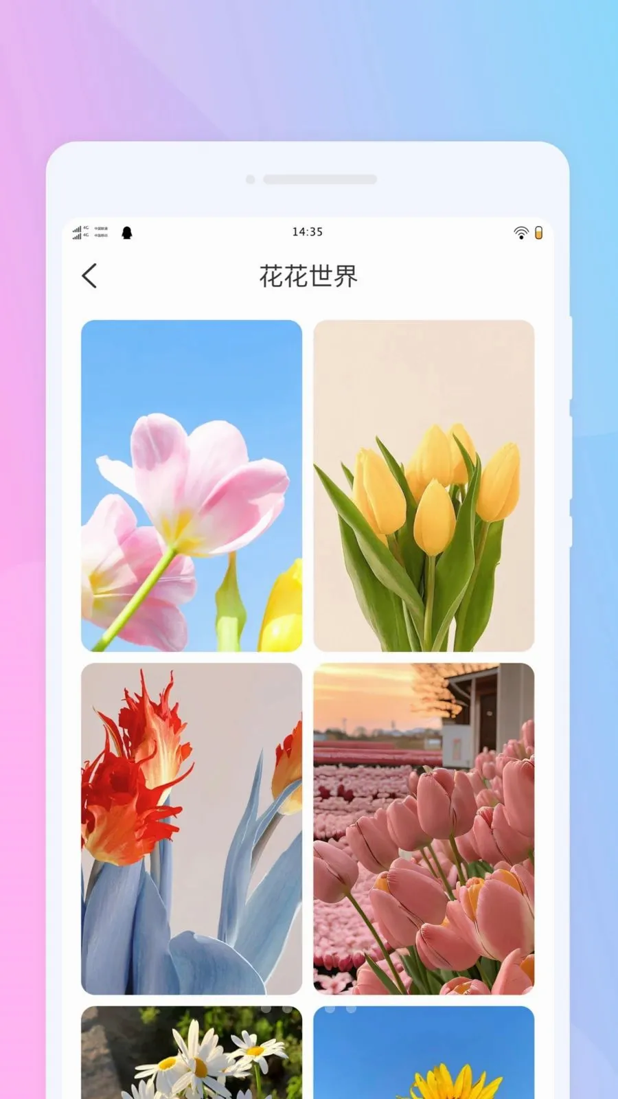 Ȥ������С���(��������APP)v1.0.0 ��׿���ͼ
