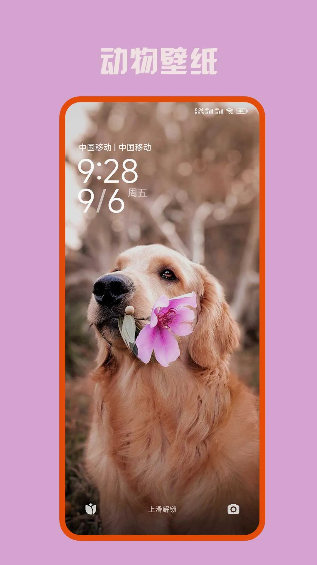 �ڴ���ѱ�ֽ(�ֻ���ֽ����)v10.0.803 ��׿���ͼ