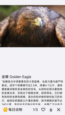 ÿ�ն��ﰲ׿���ֻ���v1.0.0 ��׿���ͼ