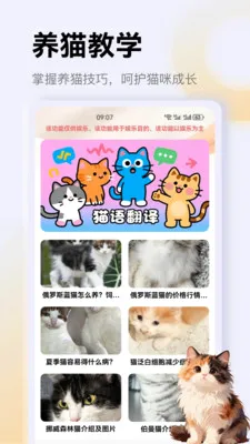 ����è��app(è��һվʽƽ̨)v1.1 ��׿���ͼ