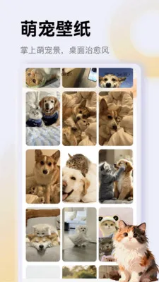 ����è��app(è��һվʽƽ̨)v1.1 ��׿���ͼ