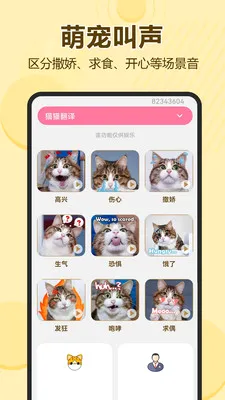 ����è�����Է���(����֪ʶ��������)v1.0.0.1 ��׿���ͼ