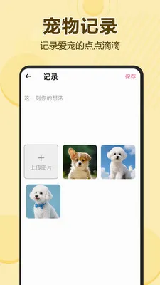 ����è�����Է���(����֪ʶ��������)v1.0.0.1 ��׿���ͼ