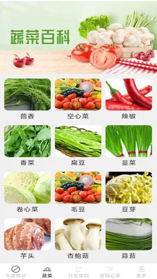 ��������(������ʳָ��)v2.7.2.2 �ֻ����ͼ