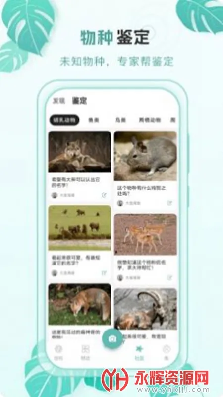 �ٿ�����(���ֿ���ʶ������)v2.0.4 �ٷ������ͼ