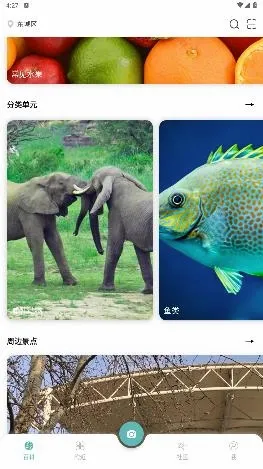 �ٿ�����(���ֿ���ʶ������)