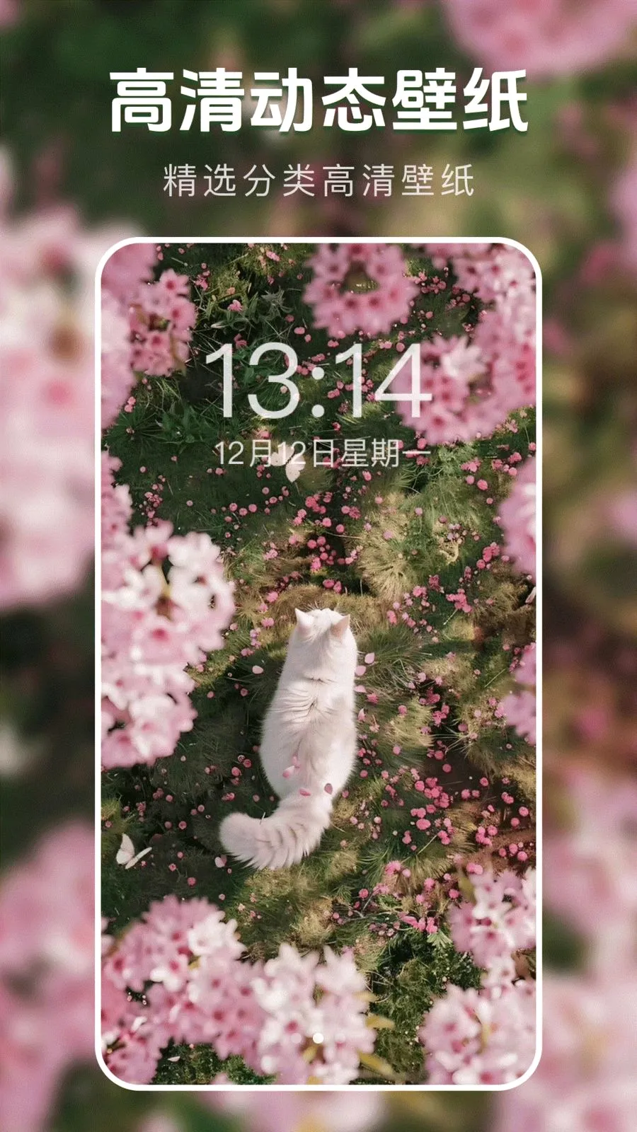��̬�����ֽ��(�ֻ���ֽ����)v1.0.0 �ٷ������ͼ