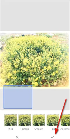 BetterSeed(专业修图软件)