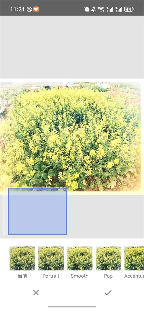 BetterSeed(רҵ��ͼ����)v2.22.0.633363672 ��׿���ͼ