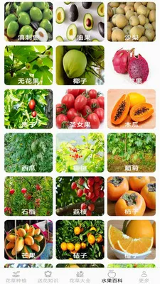 �ͷ׻��������ֻ���v2.7.2.3 ��׿���ͼ