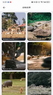 musabay(ά���ֽӰ��app)v1.1.3 ��׿���ͼ