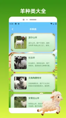 ����С��2026�ٷ����°汾v1.3 ��Ѱ��ͼ