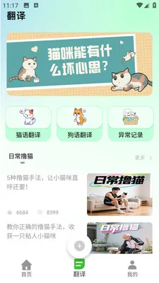 PEPPYCATè��ռ�2026�ٷ����°汾v3.0.0 �ֻ����ͼ