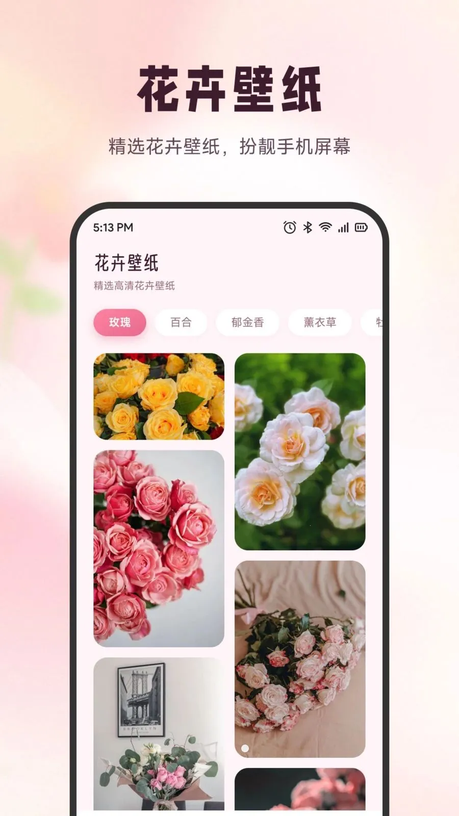 ѩ�ڻ���(ʶ����������)v1.1 ��Ѱ��ͼ