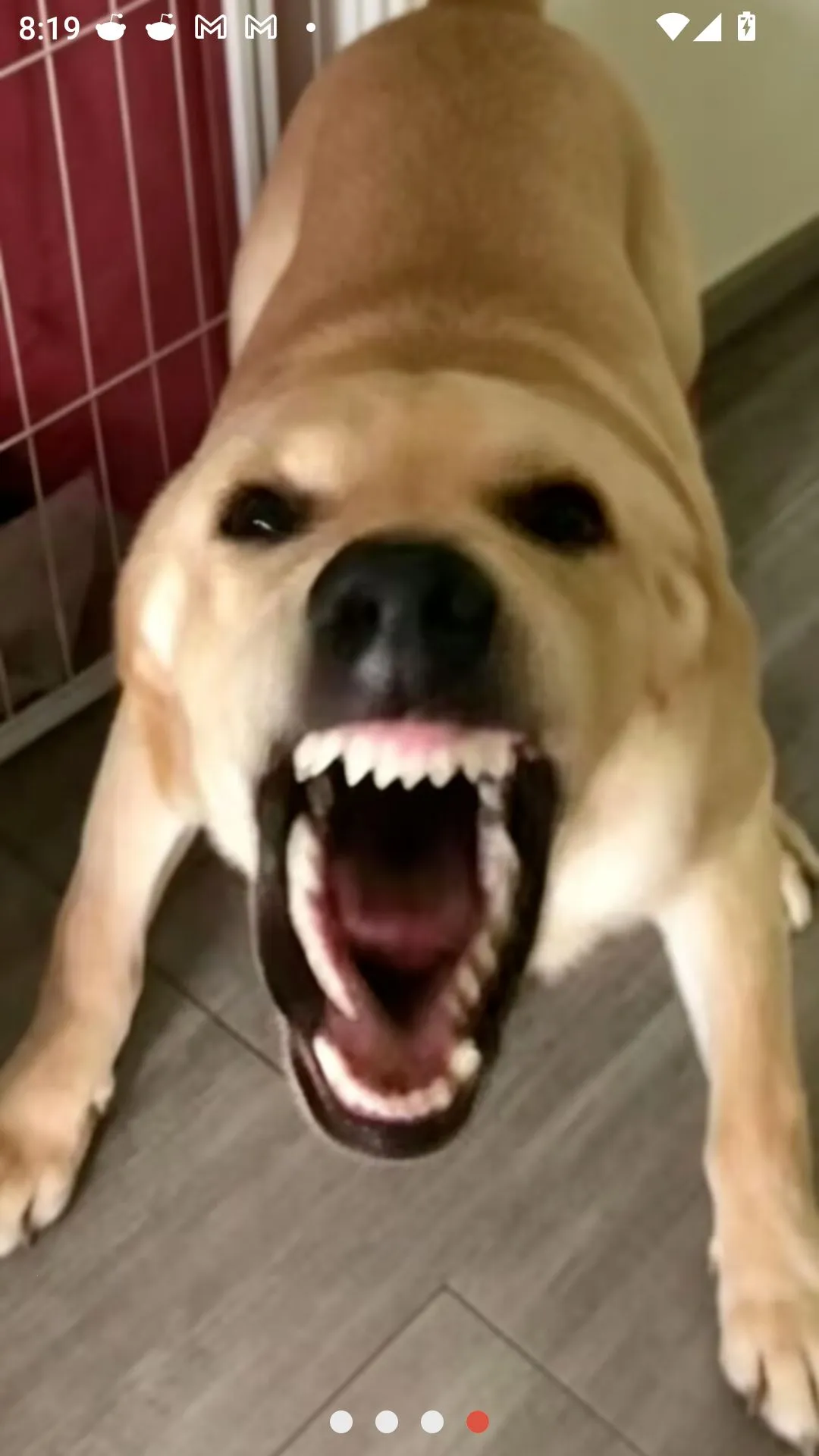 �󹷽���Ϸ������ư�(������ģ����Ϸ)v1.1 �ֻ����ͼ