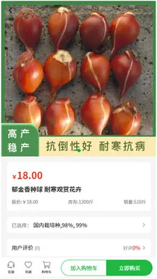 �״���ҵ2026�ٷ����°汾v1.0.2 �ٷ������ͼ